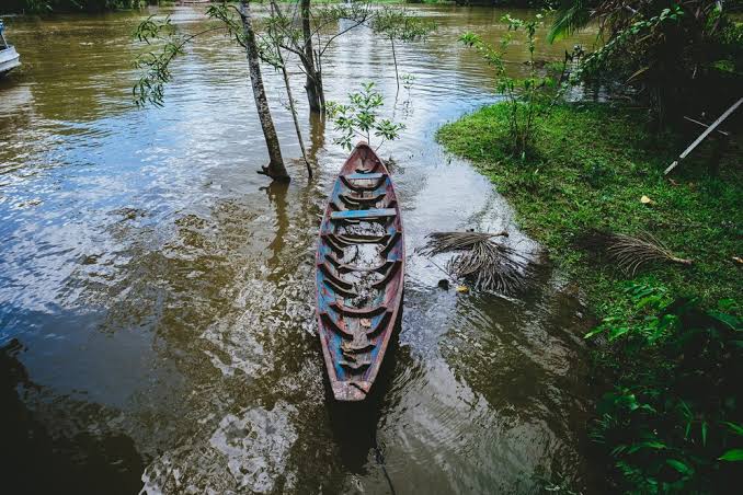 Traditional wooden country boat in a mangrove channel